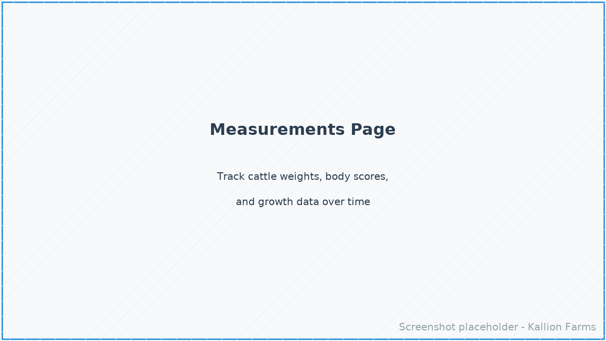 Measurements Page
